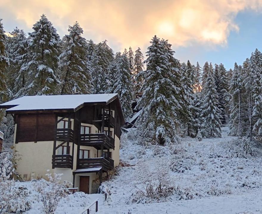Chalet Les Arolles ليه أورس المظهر الخارجي الصورة